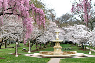 josephine-fountain.jpg
