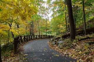 Alapocas_woods_trail.JPG