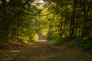 Trail-1358.jpg